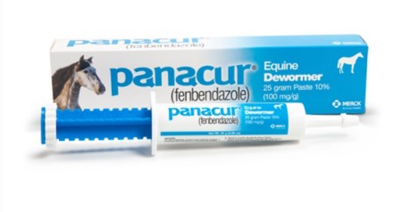 Panacur (Fenbendazole) Horse Dewormer Paste 25 Gram